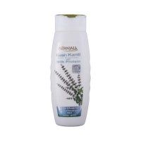 Kesh Kanti Milk Protein Shampoo Patanjali (������� ��� ����� �������� ������� ����������) 200��
