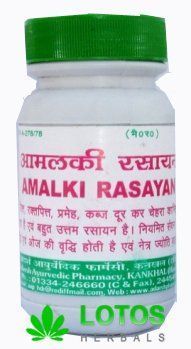 ������� ������ ����� Amalki Rasayan Adarsh - ����������� �������� 100 ��