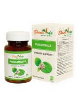 Punarnava Shanti Veda (��������� ����� ����) (60 ������)